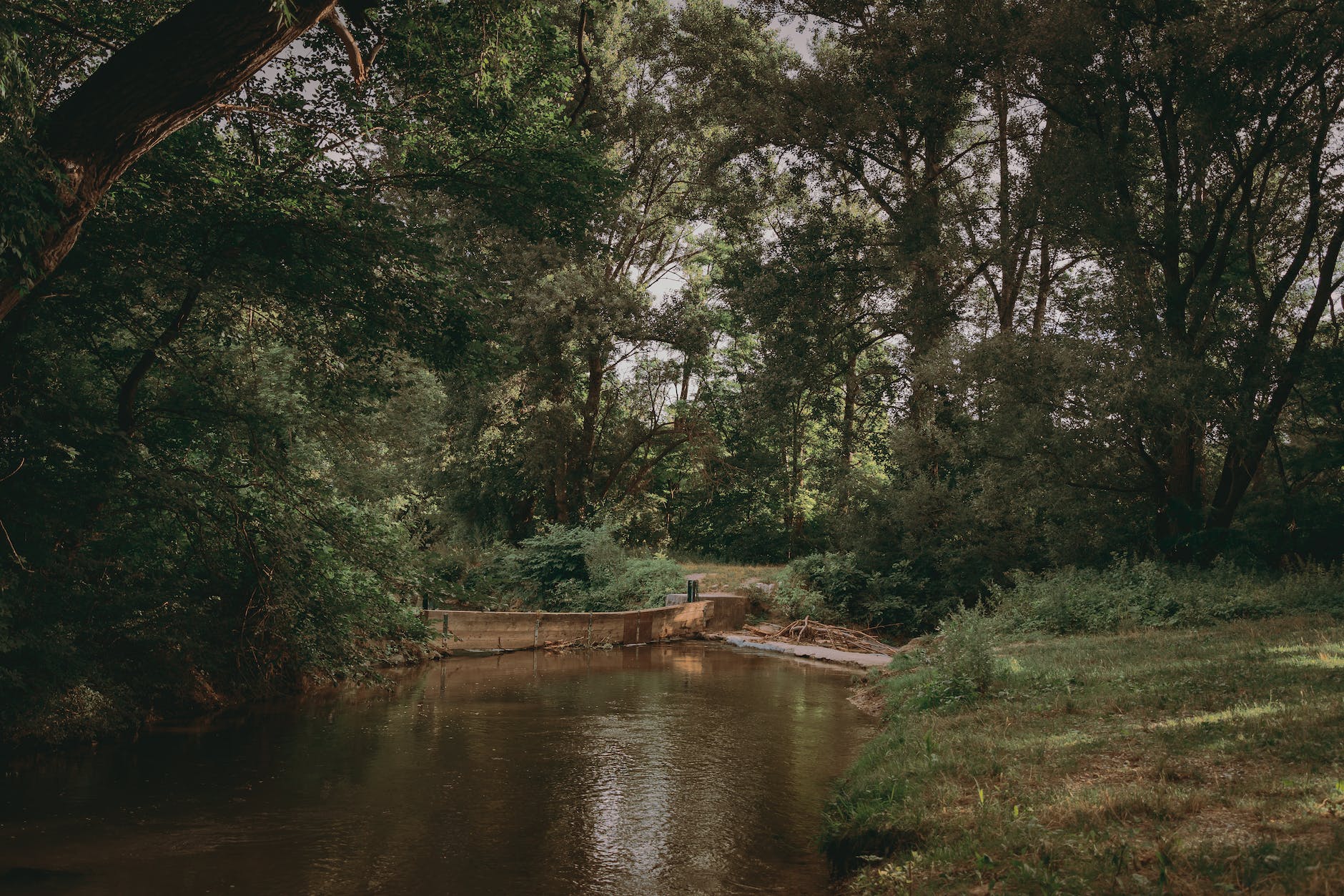 身体性への目覚め2023.2.7