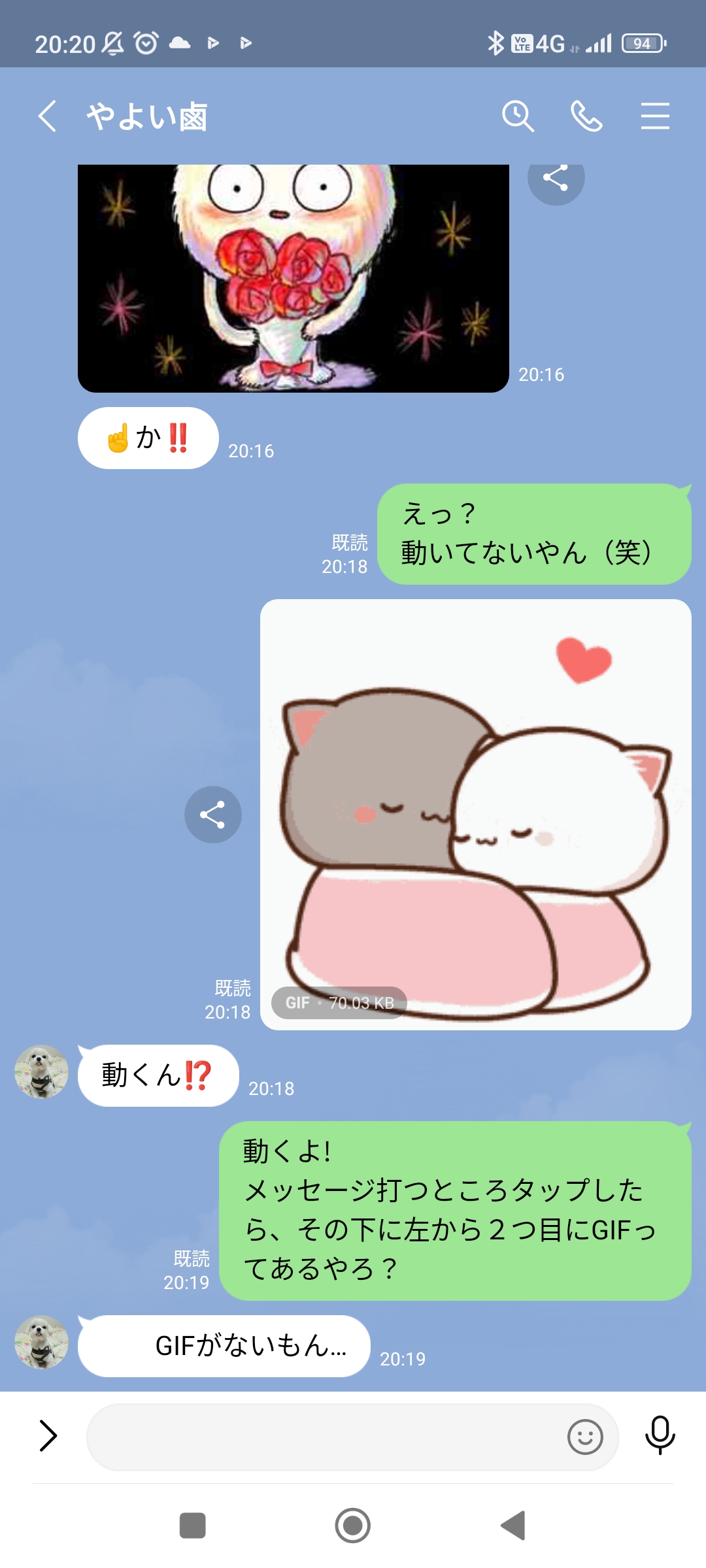 摘出した葉状腫瘍が境界型悪性腫瘍だった