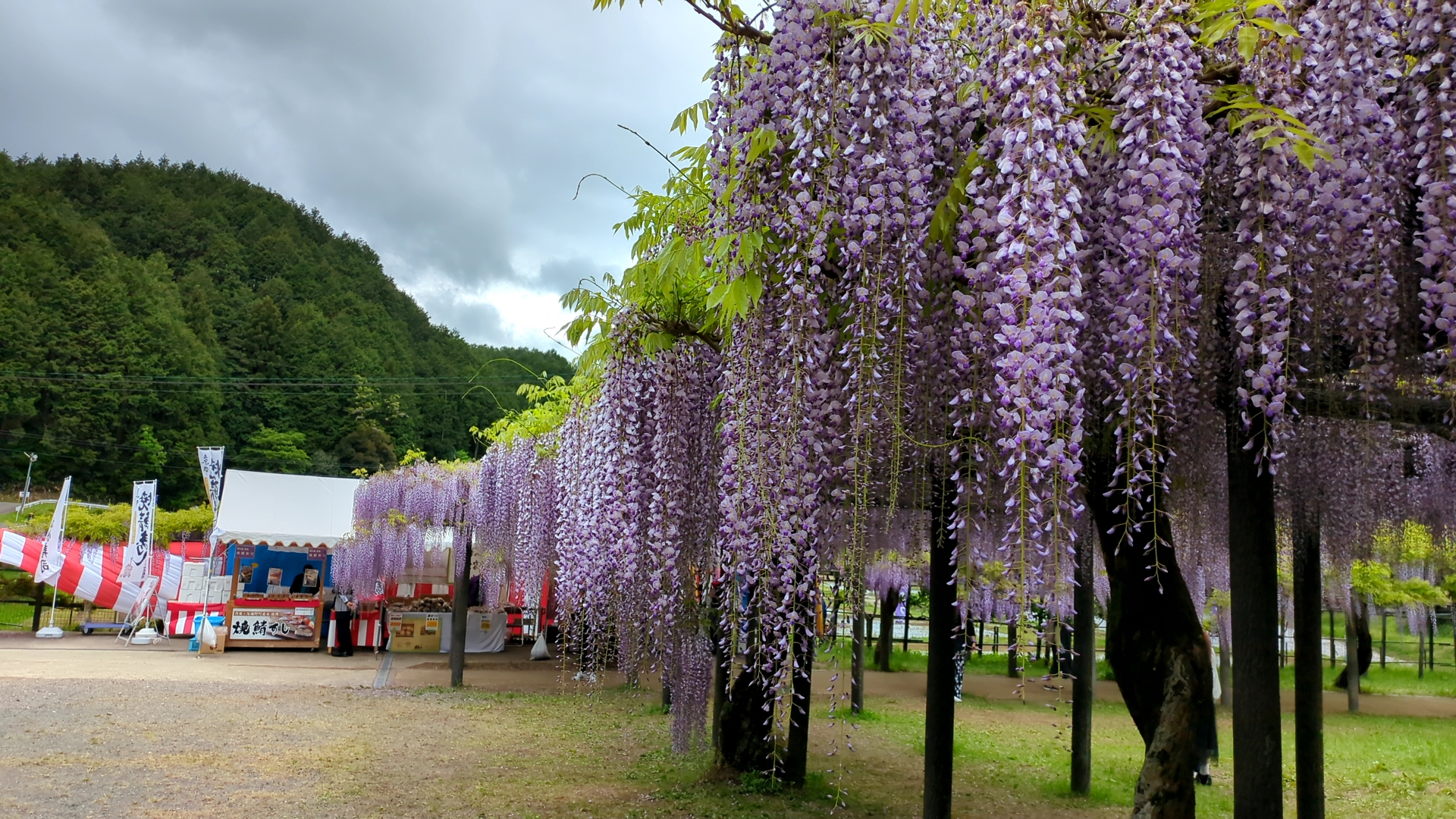 見守られる安心感：日本の先祖信仰に込められた家族の絆