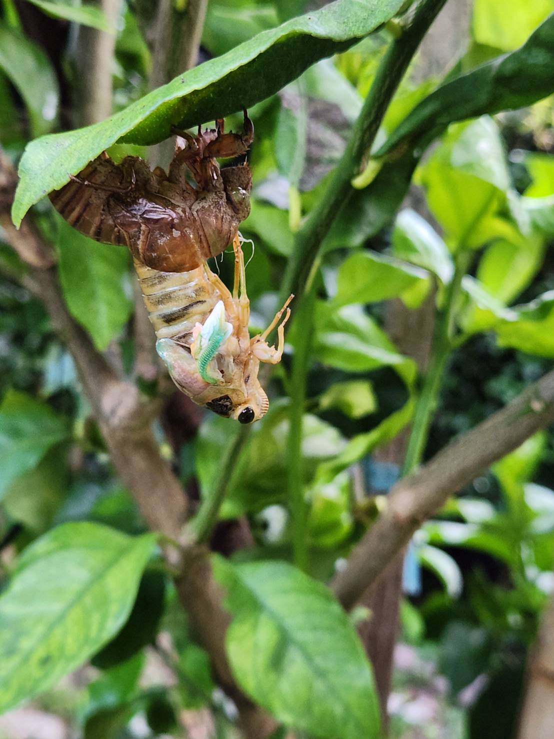 「小さなこだわり」で彩る、私だけのパラレルライフ