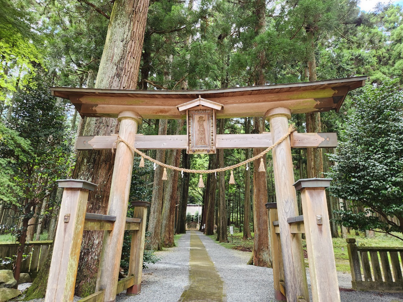 The Presence of the Sacred Cedars at Aodama Shrine: A Spiritual Atmosphere That Touches Every Visitor