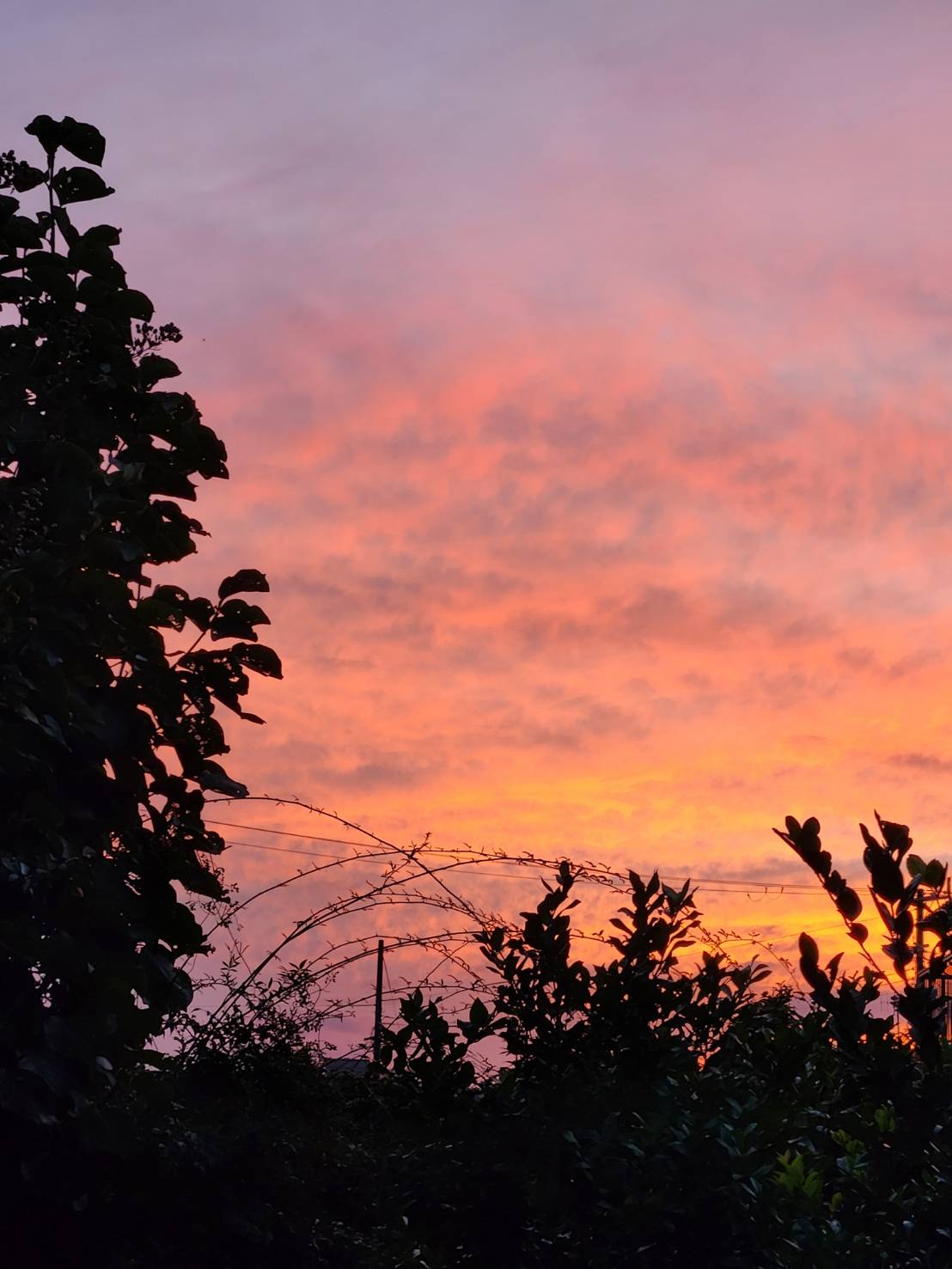 The Struggle to Live in Dazai Osamu’s No Longer Human—Caught Between Empathy and Aversion